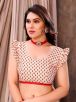 Elegant Cream and Red Ethnic Motifs Printed Jute Cotton Saree with Printed Border – Perfect for Festive Occasions Manufacturers  in Delhi
