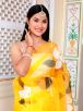 Graceful Hand Painted Yellow Organza Saree Perfect for Festive Occasions Manufacturers  in Delhi