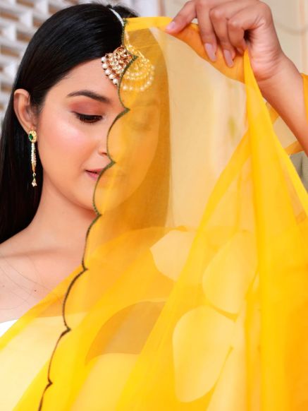 Graceful Hand Painted Yellow Organza Saree Perfect for Festive Occasions Manufacturers  in Delhi