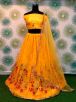 Multi Color Net Lehenga Saree – Embroidered Party Wear Manufacturers  in Delhi