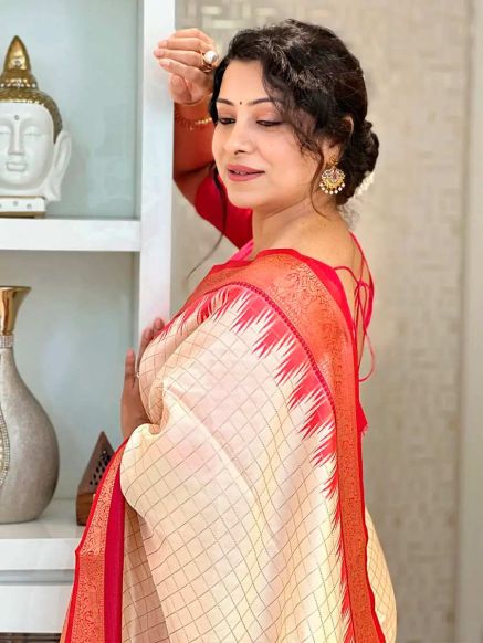 Party Wear Gadwal Soft Silk Saree with and Work Satin Border Manufacturers  in Delhi