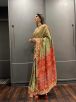 Stylish Multi Color Patola Silk Saree Featuring Printed Design for Festive Wear Manufacturers  in Delhi